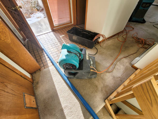 Best Water damage contractors near me  in Ocean Gate, NJ
