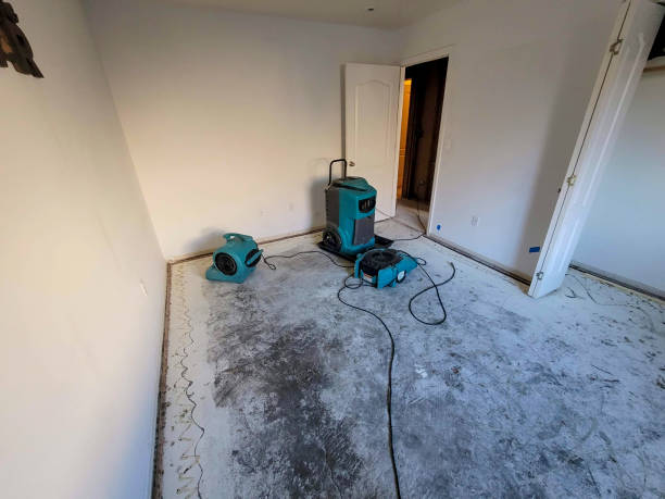 Best Residential water damage restoration  in Ocean Gate, NJ