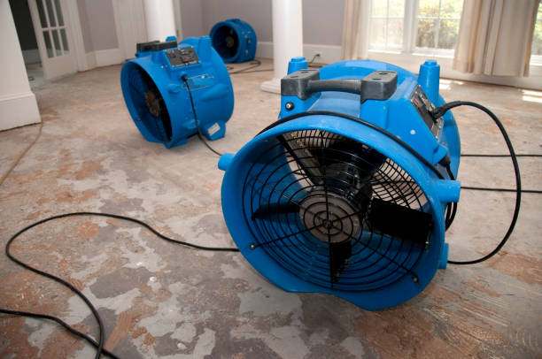 Best 24-hour water damage restoration  in Ocean Gate, NJ