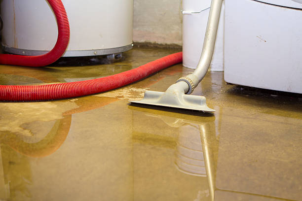 Best Basement water damage restoration  in Ocean Gate, NJ