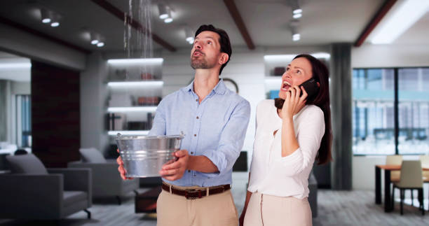 Best Professional water damage repair  in Ocean Gate, NJ