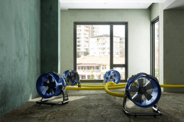 Best Mold removal after water damage  in Ocean Gate, NJ